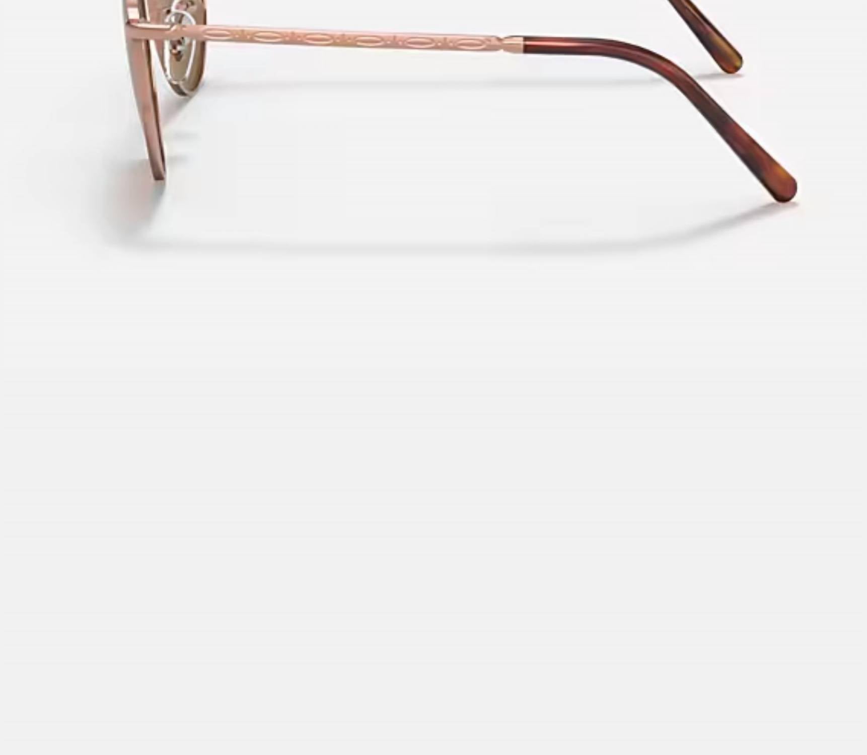 Ray Ban - Women's New Round Rb3637 920233 Sunglasses