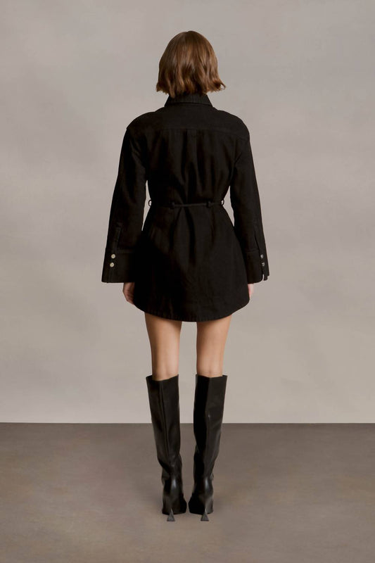 Amur - Denim Day Dress