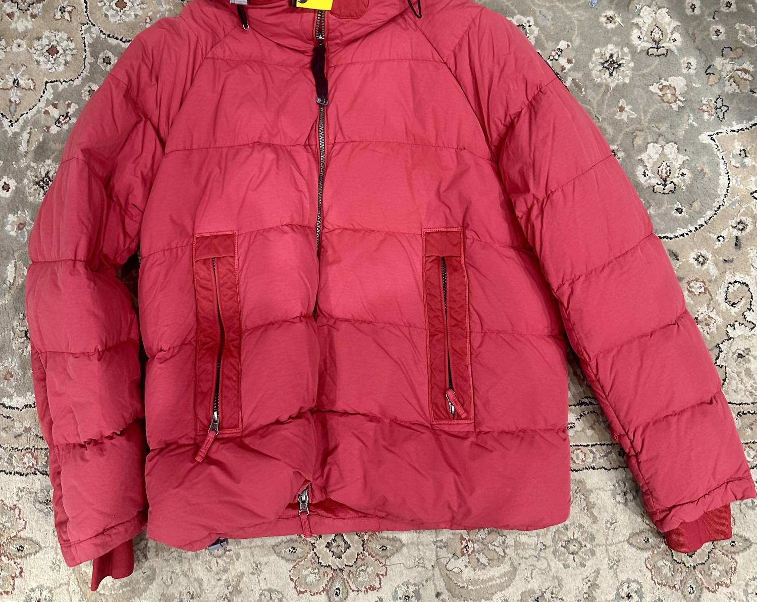 Parajumpers - norton