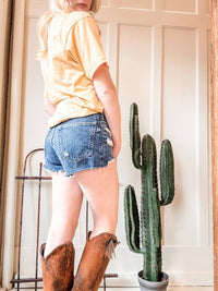 Ariat - Jazmine Tomboy 3" Shorts