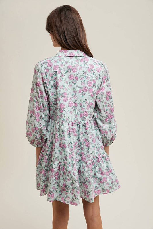 Wishlist - Tabitha Collared Dress