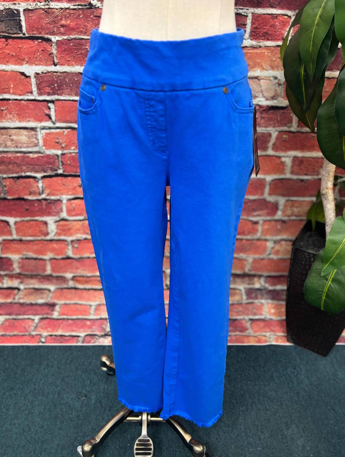 Slimsation By Multiples - Pull On Five Pocket Crop Pants