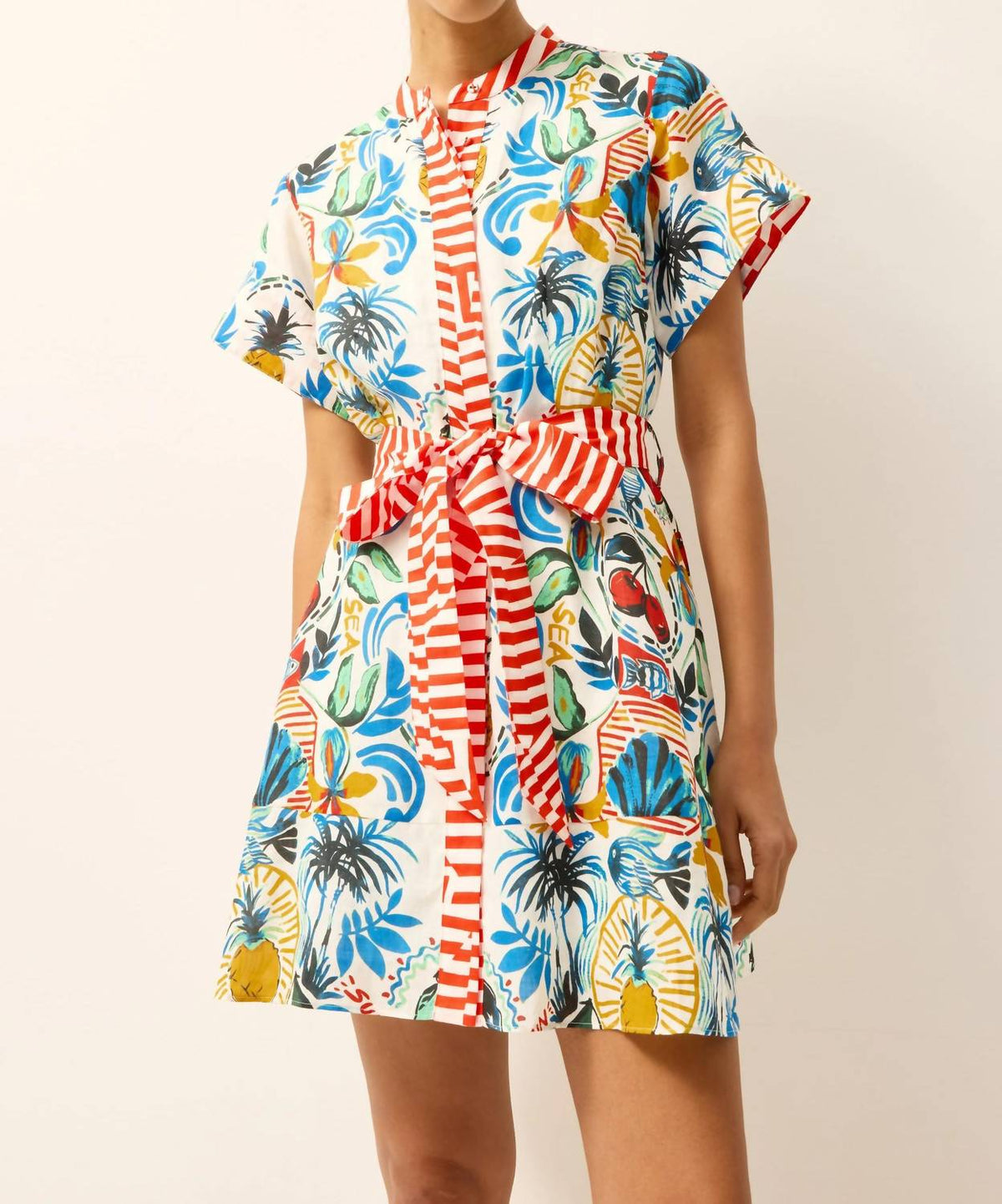 Marie Oliver - Sable Mini Dress
