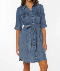 Velvet Heart - Austine Button Mini Dress