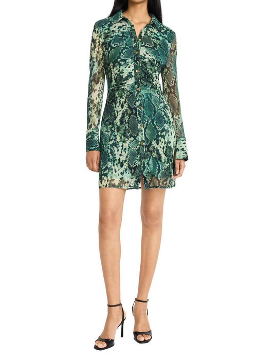 Donna Morgan - Isabell Shirt Dress