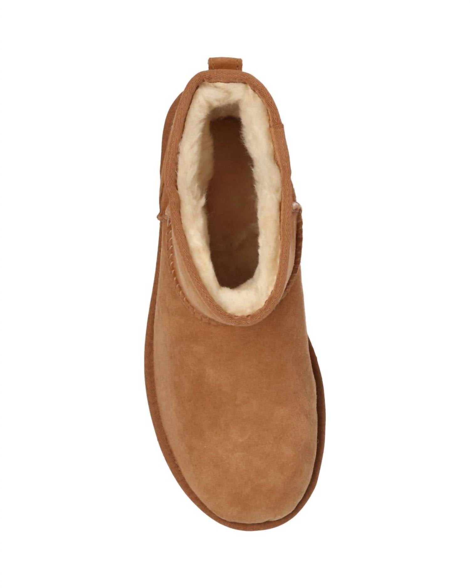 Ugg - Women's Suede Ankle Boots