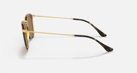 Ray Ban - Square Non Polarized Sunglasses Rb2448n - 710