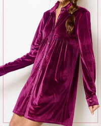 La Miel - Soft Velvety Button Down Collar Dress