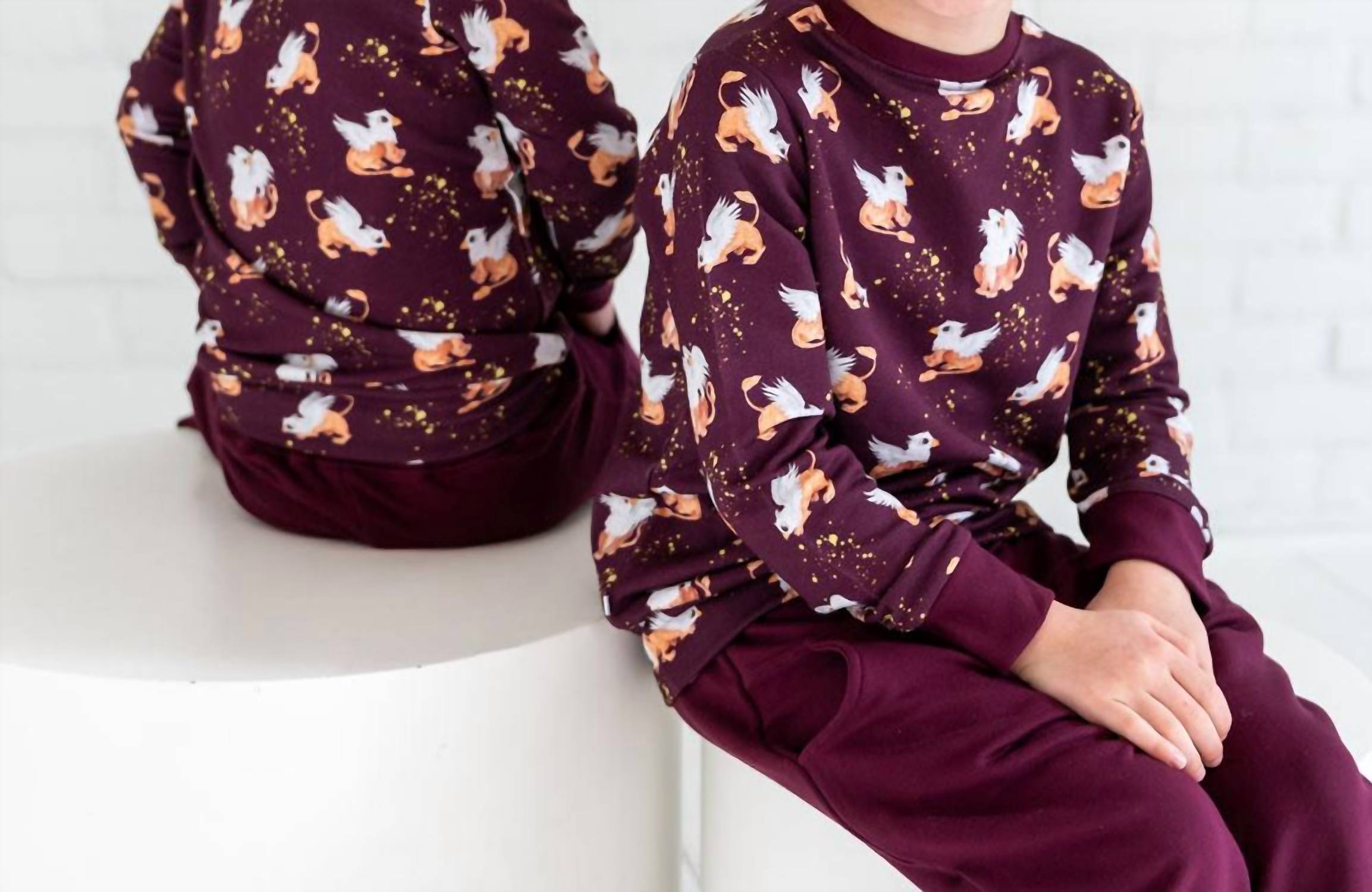Laree + Co. - Boys Griffin Bamboo Luxe Jogger Set