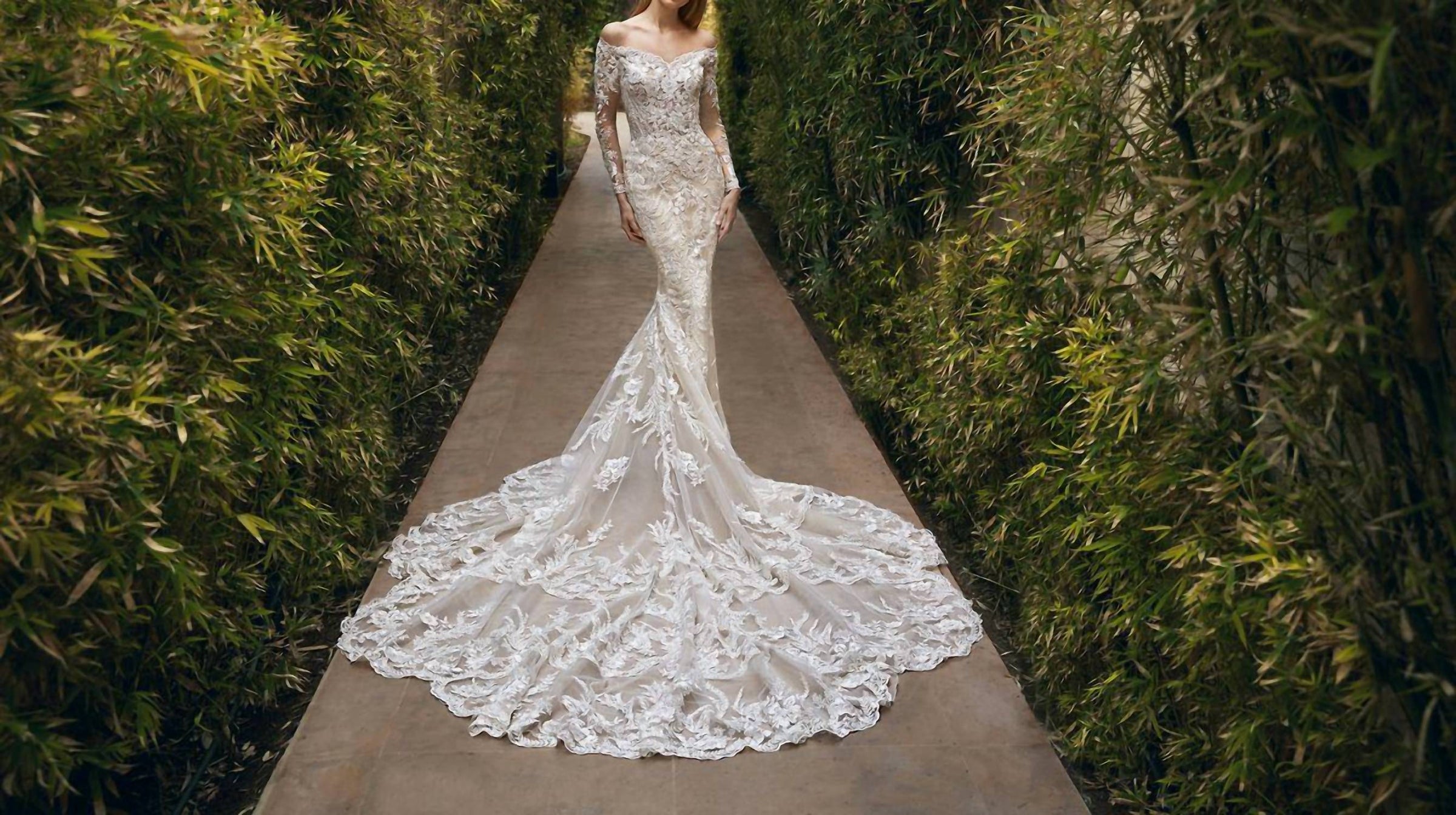 Demetrios - Lace Embellished Sheer Gown