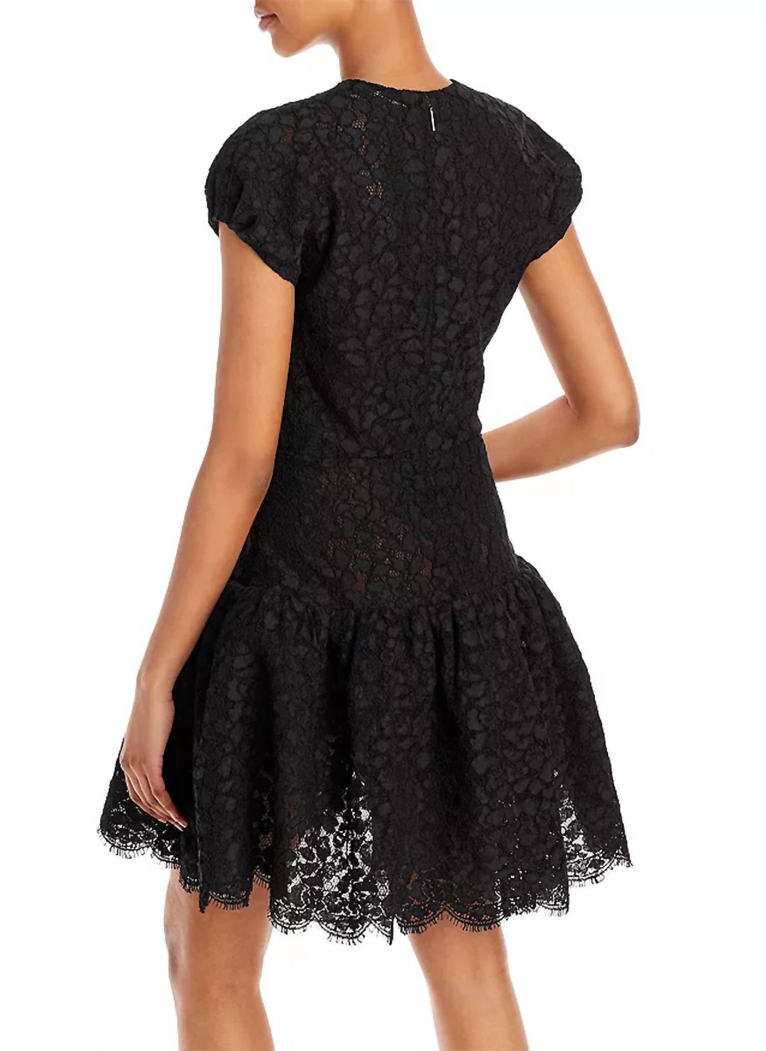 Jason Wu - Corded Floral Lace Ruffle Dress