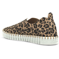 Ilse Jacobsen - Women's Tulip 139 Leo Shoes