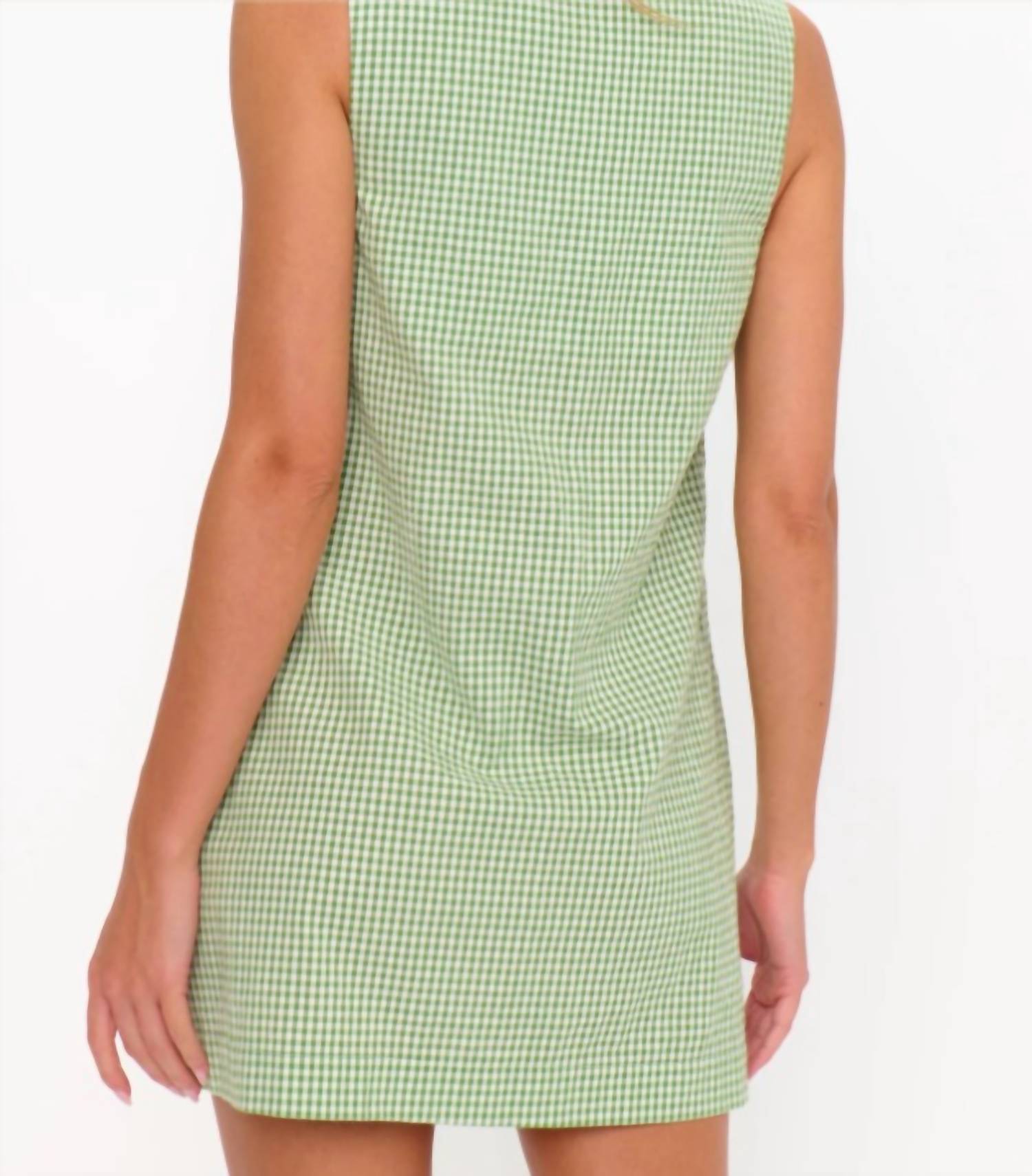 Show Me Your Mumu - Everly Mini Dress