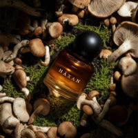 Heretic Parfum - Women's Häxan Eau De Parfum
