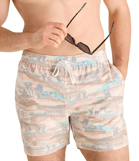 Chubbies - Men's Swim Trunks