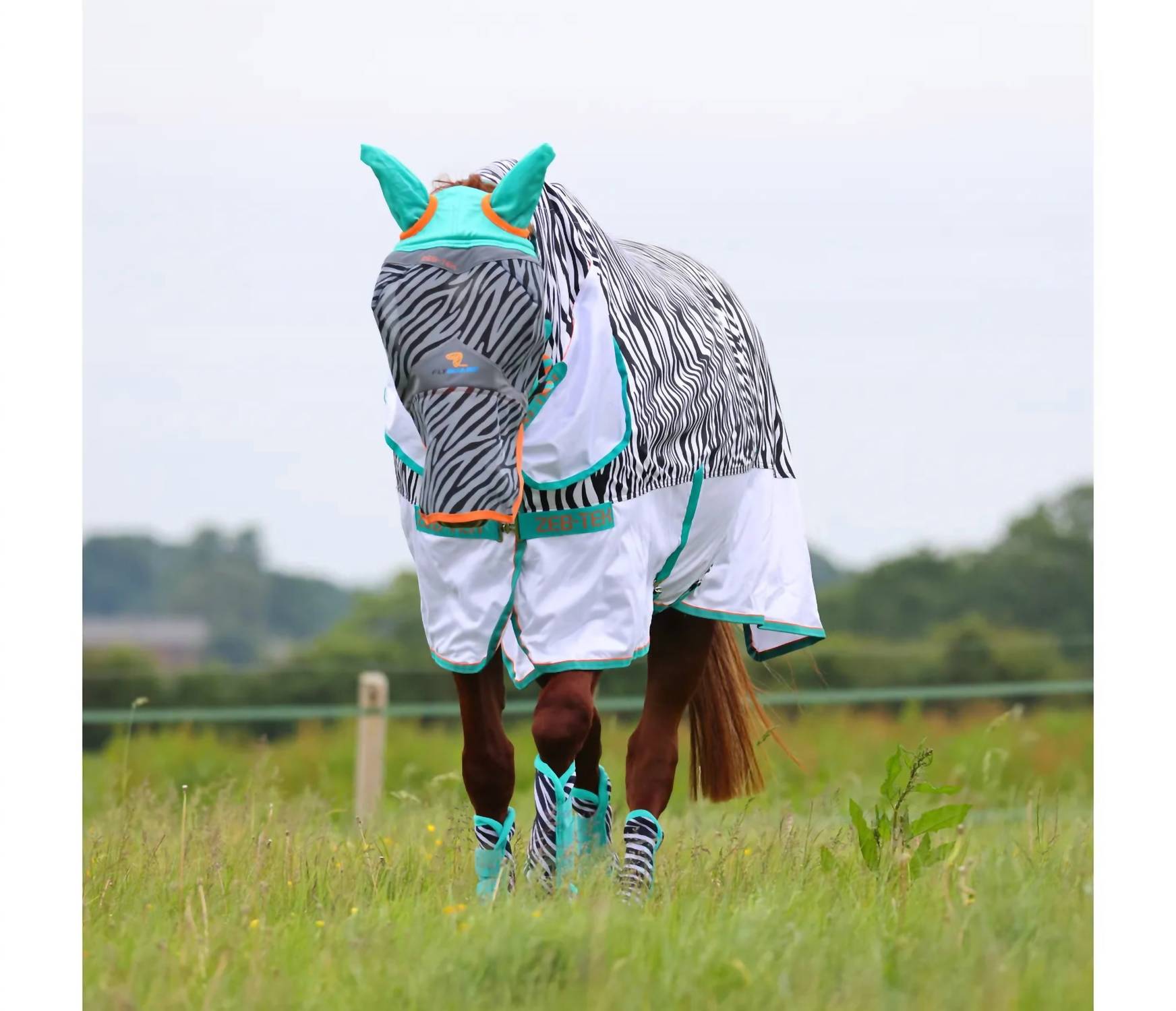 Shires - Tempest Graphic Fly Sheet