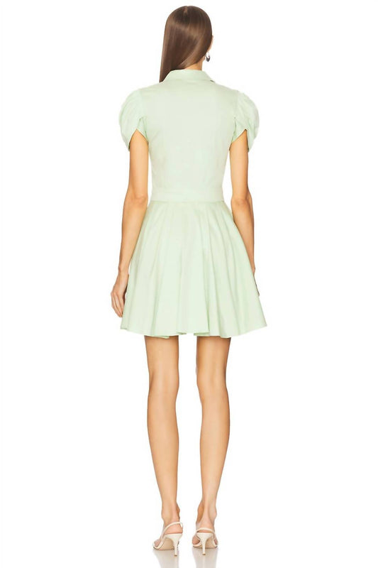 Alexis - April Mini Dress