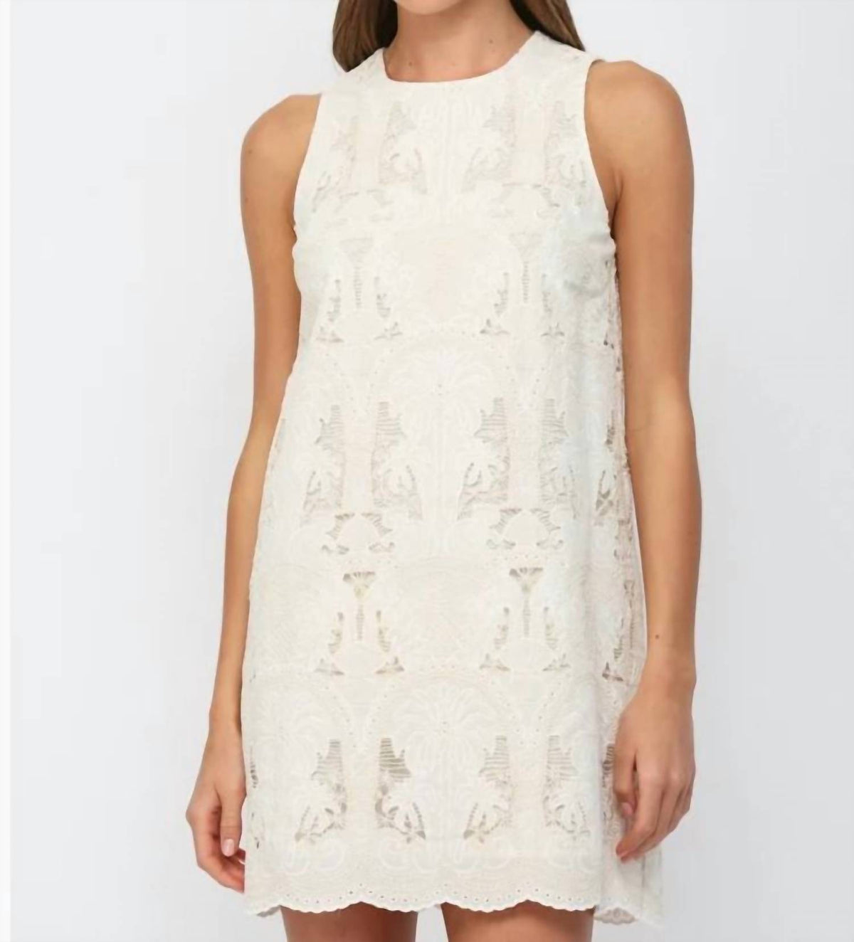 Fate - Lace Shift Dress