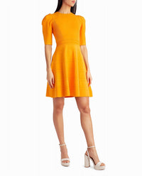 Nicole Miller - Jessie Pleated Shoulder A-Line Dress