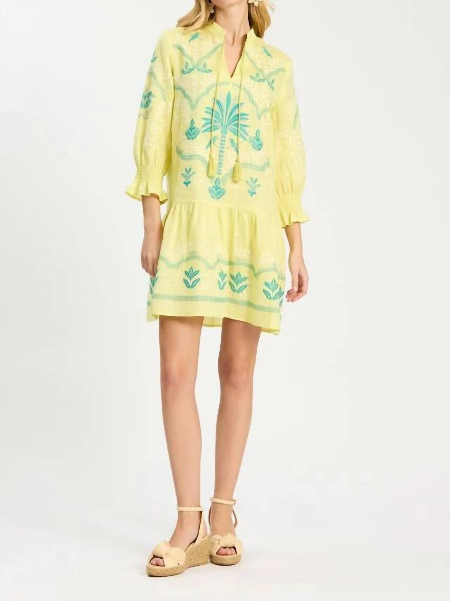Tyler Boe - Nikki Embroidered Dress
