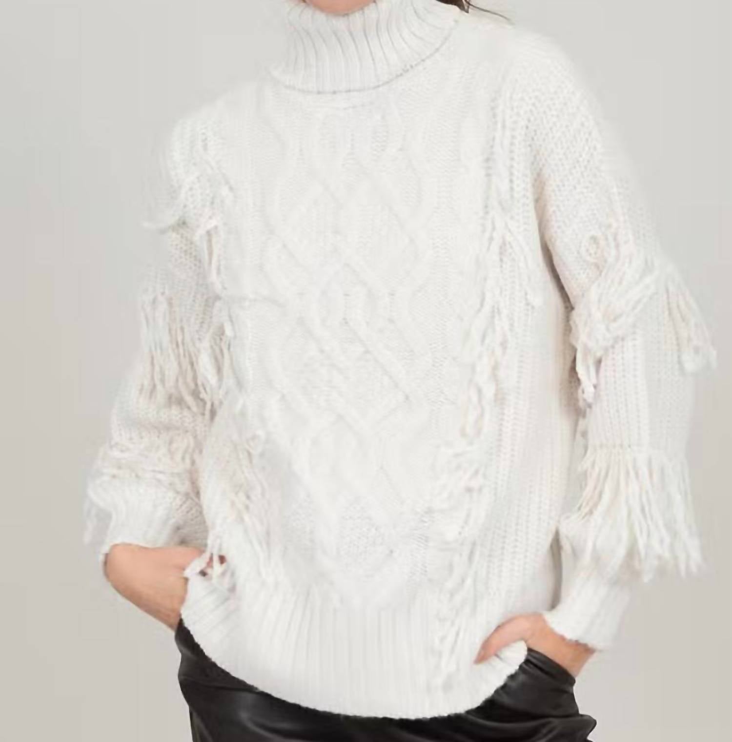 Rd Style - Joelene Knit Turtleneck Sweater