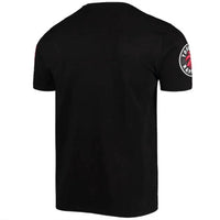 Pro Standard - Men's Toronto Raptors Chenille Tee