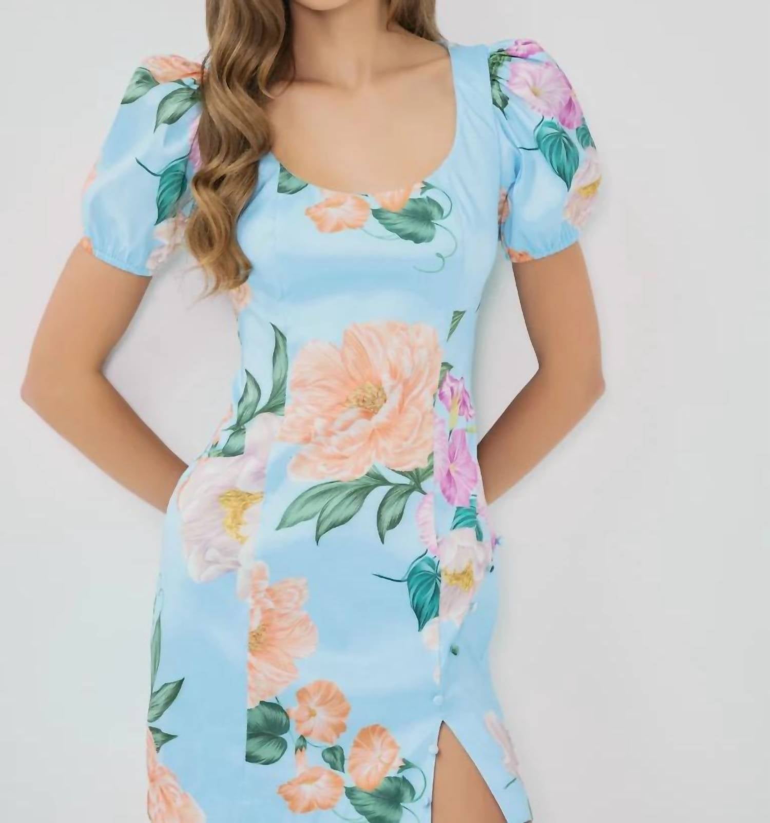 Hutch - Evera Mini Dress