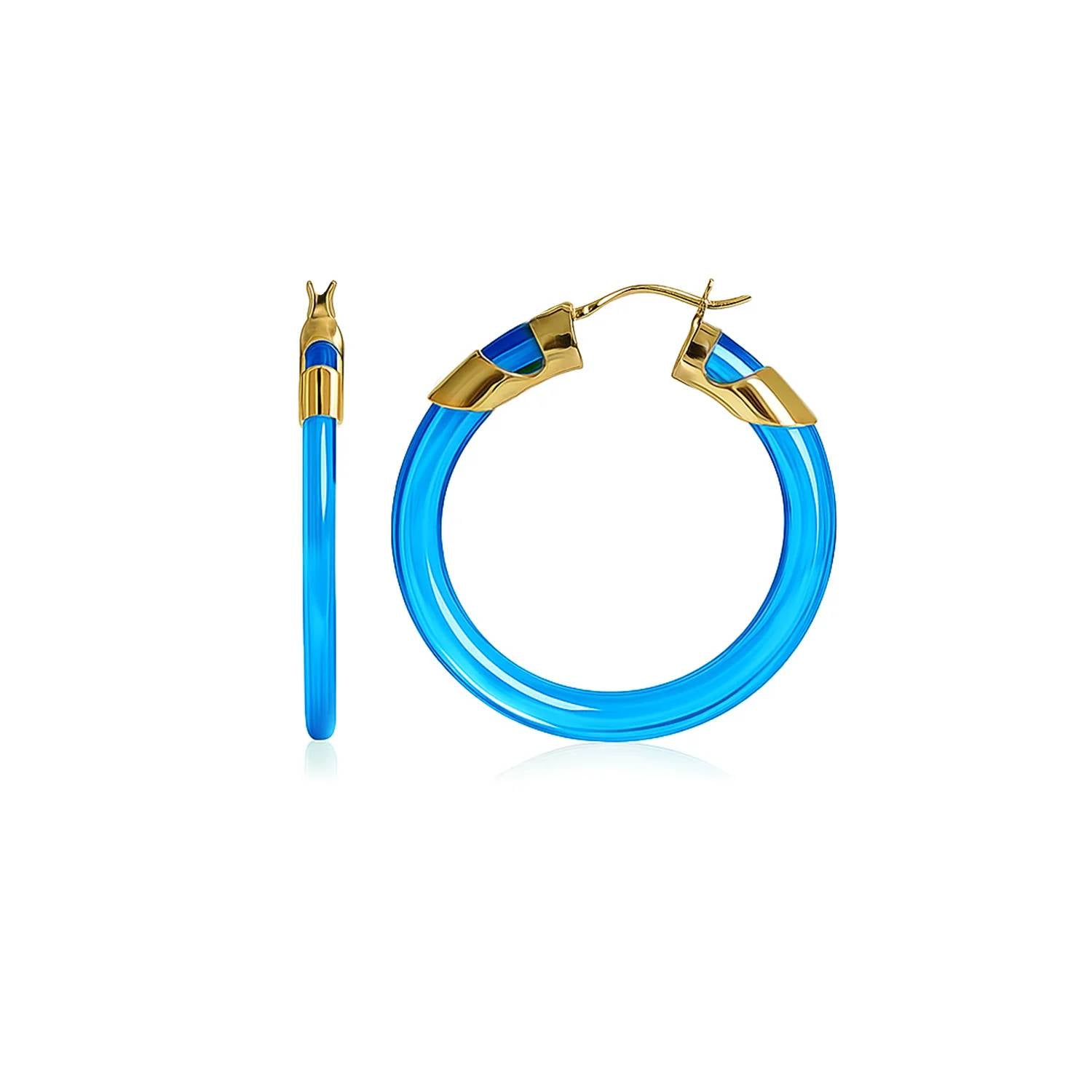 Gold & Honey - Women's Classic Flat Lucite Birthstone Hoop Earrings