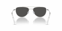 Swarovski - Women's Crystal Embellishments Sunglasses