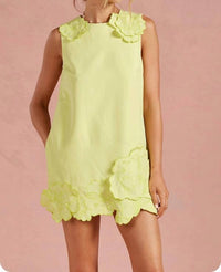Strut & Bolt - 3d Floral Applique Mini Dress