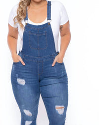 Wax Jean - Distressed Skinny Overall