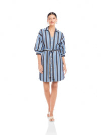 Fifteen Twenty - Blaire Lantern Sleeve Tie Dress