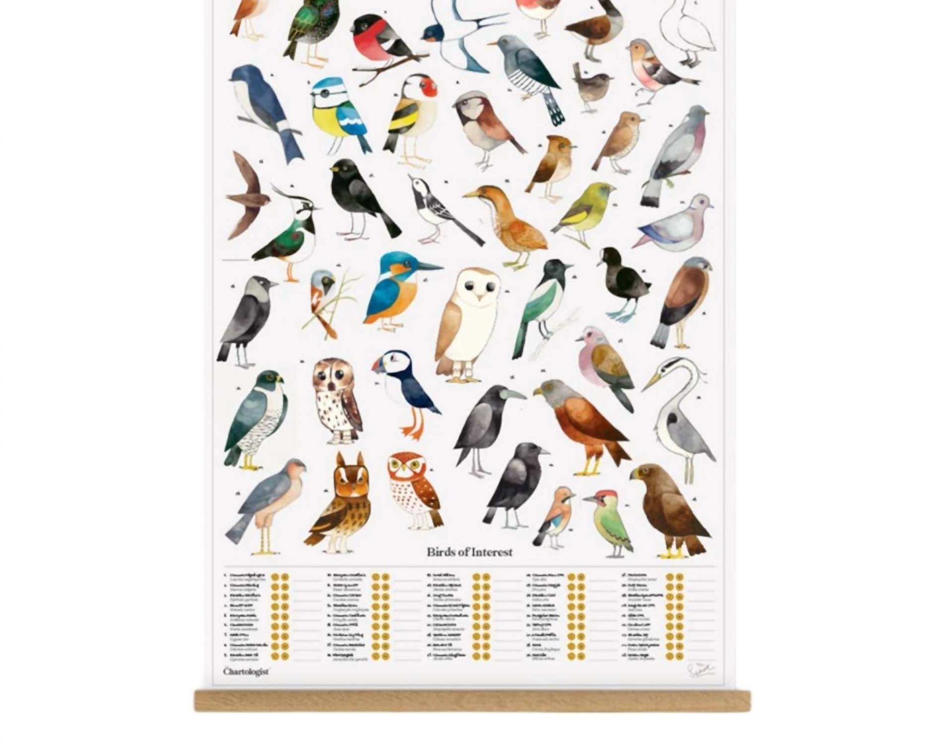 Suck Uk - The Chartologist - Poster Hanger