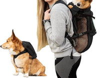 K9 Sport Sack - Walk-on | Lightweight & Packable Dog Carrier With Harness & Storage