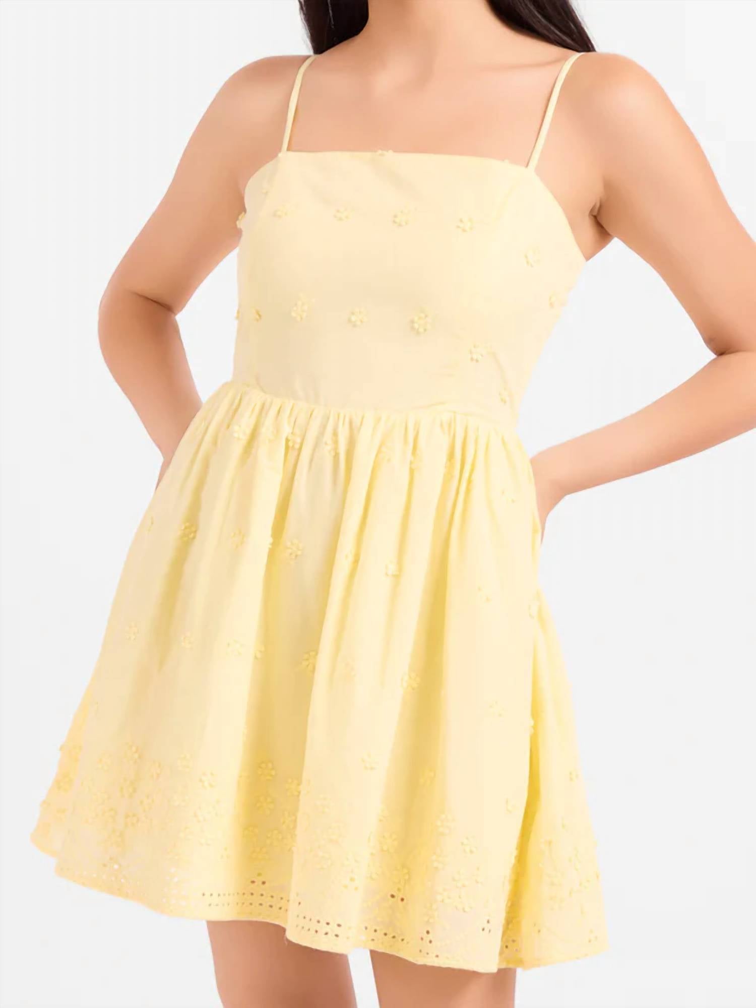 Sadie & Sage - Beachglass Embroidered Mini Dress
