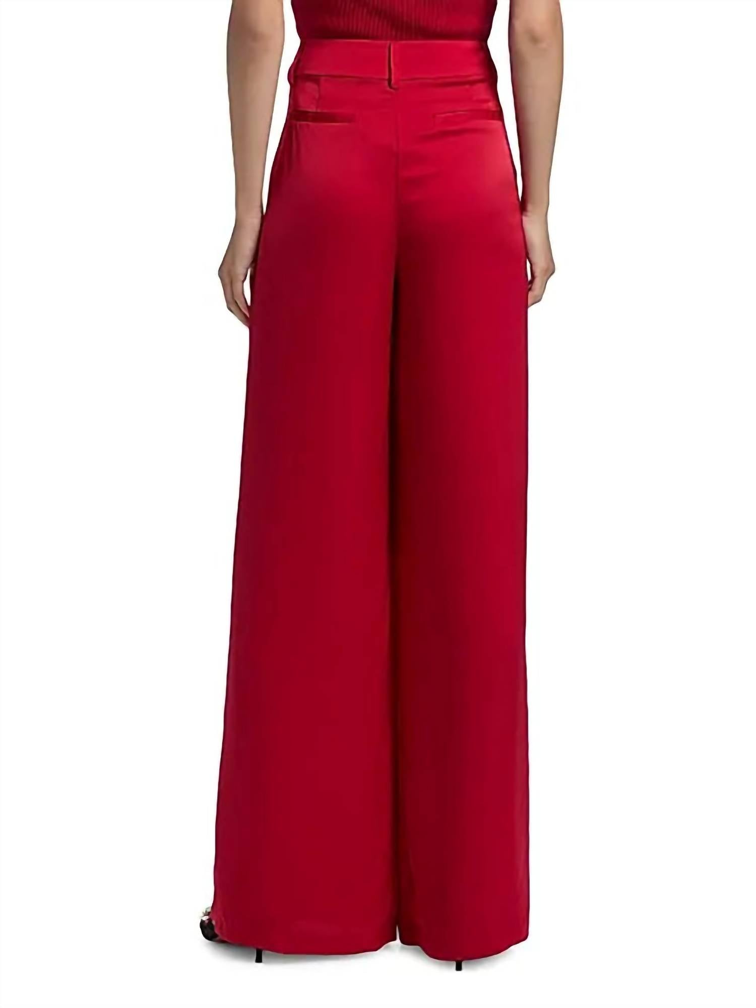 Ramy Brook Oscar Pleated Wide Leg Pants in scarlet - women's pants - detail view