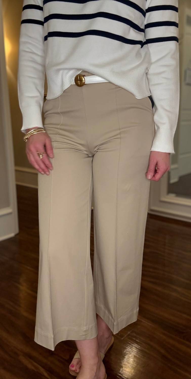 Lysse Miranda Straight Leg Trouser Pant in taupe - women's pants - detail view