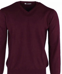 Pashmere - Men's Pure Cashmere V-neck Top