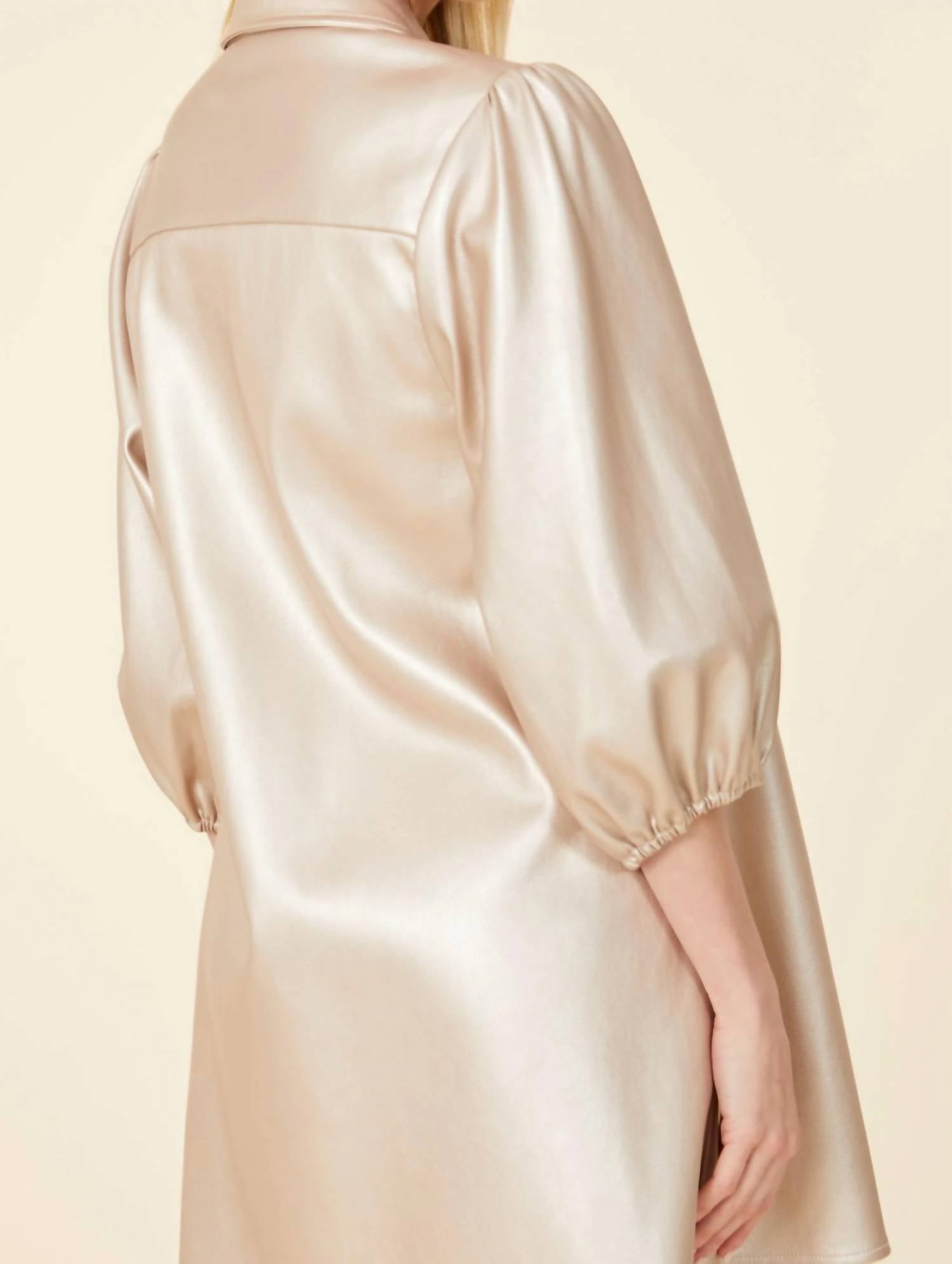 Dolce Cabo - Metallic Faux Leather Puff Sleeve Dress