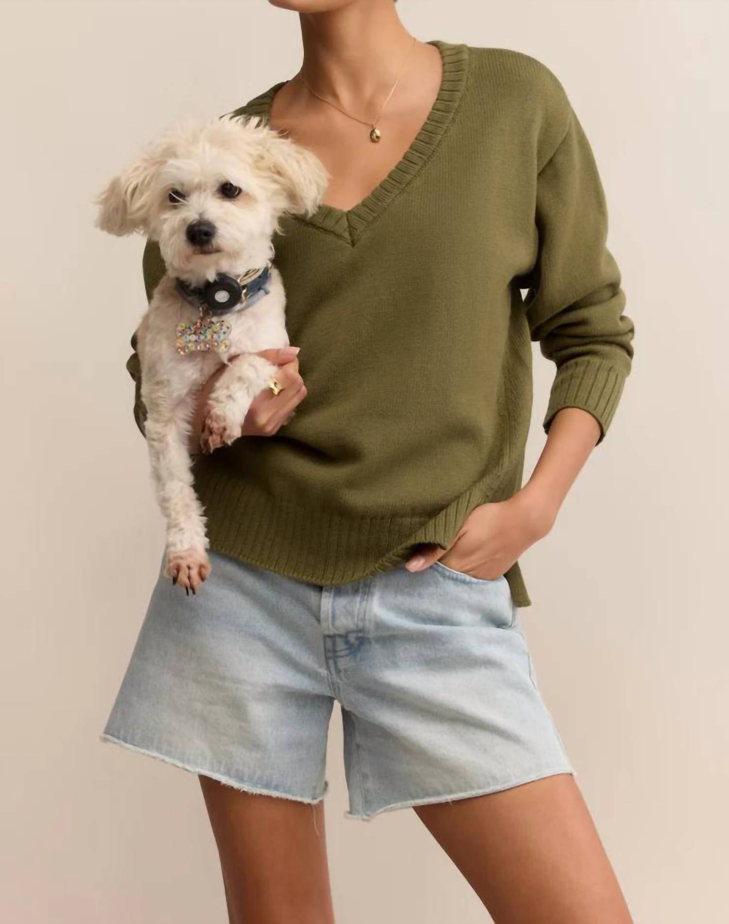Z Supply - Alice All Around V-neck Sweater