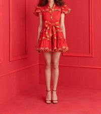 Celia B - Haze Mini Dress