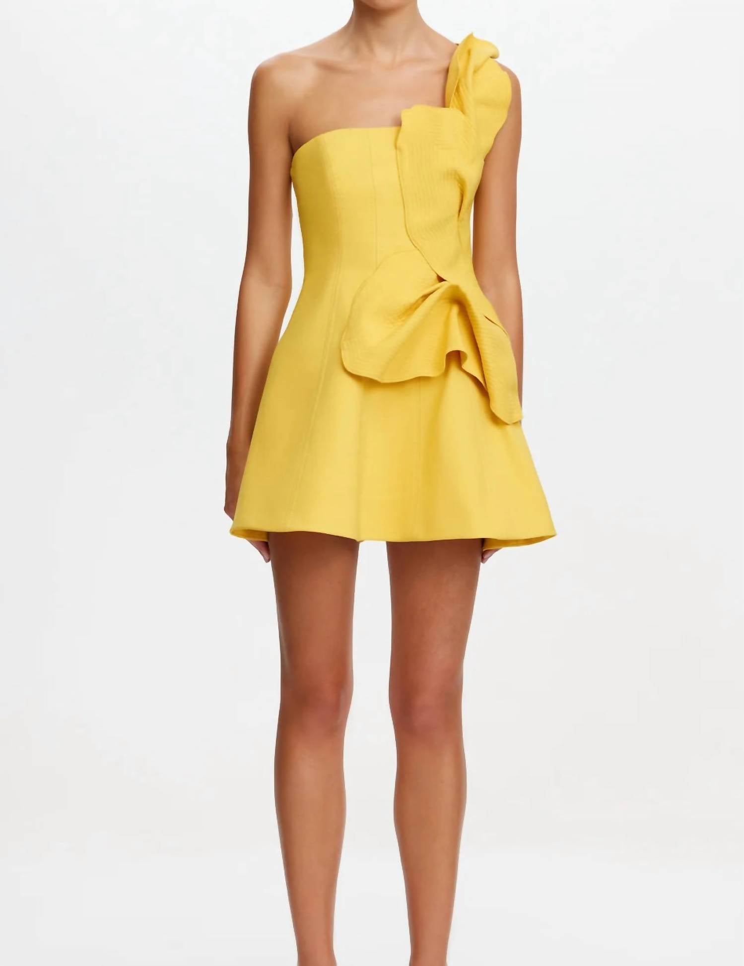 Acler - Drake Mini Dress