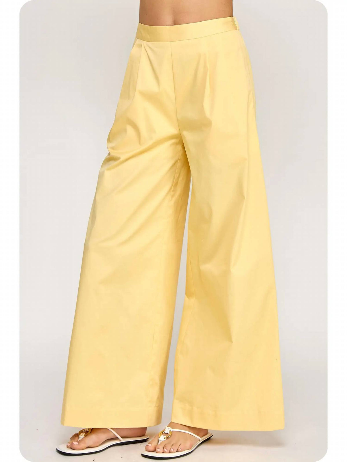 Strut & Bolt - Pleat Detail Wide Leg Twill Pants