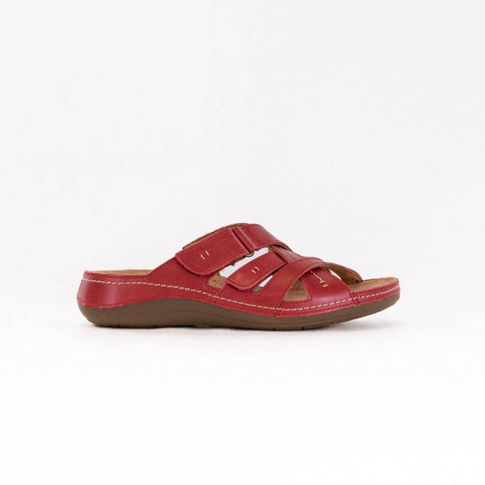 Clarks - Women's Cecily Slide Sandal
