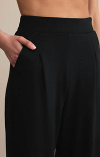 Z Supply - Round Trip Pants