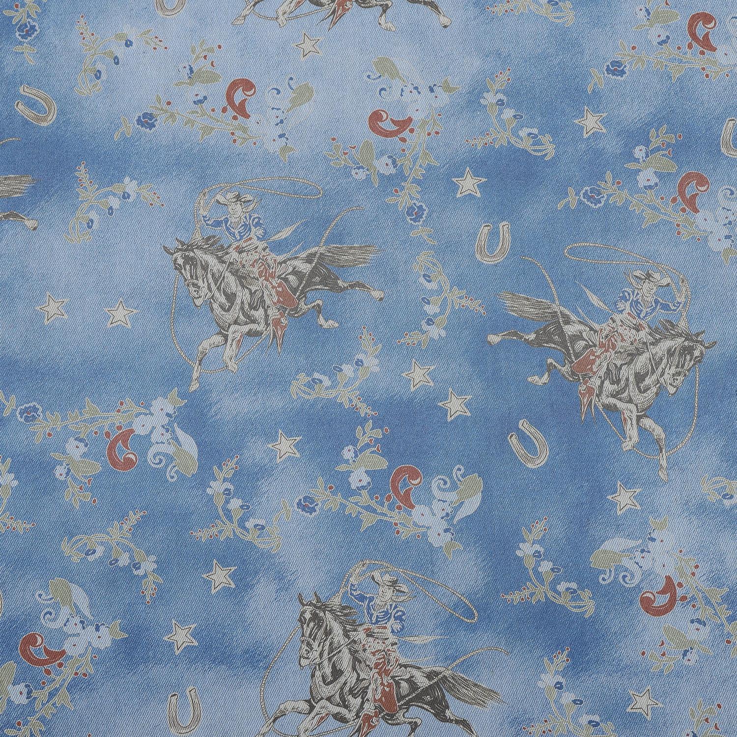 Tasha Polizzi - Lee Western Pillow