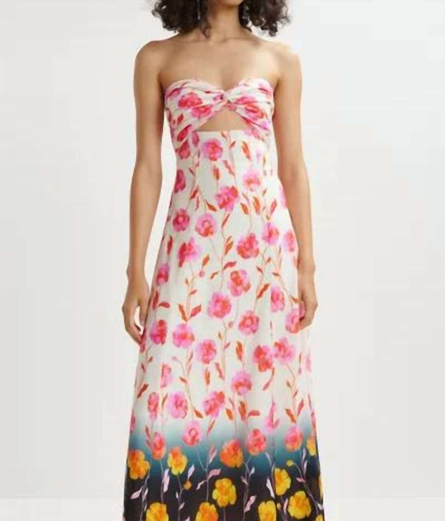Essential Antwerp - Heorgia Floral Maxi Dress