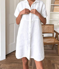 Emerson Fry - Potter's Shirtdress