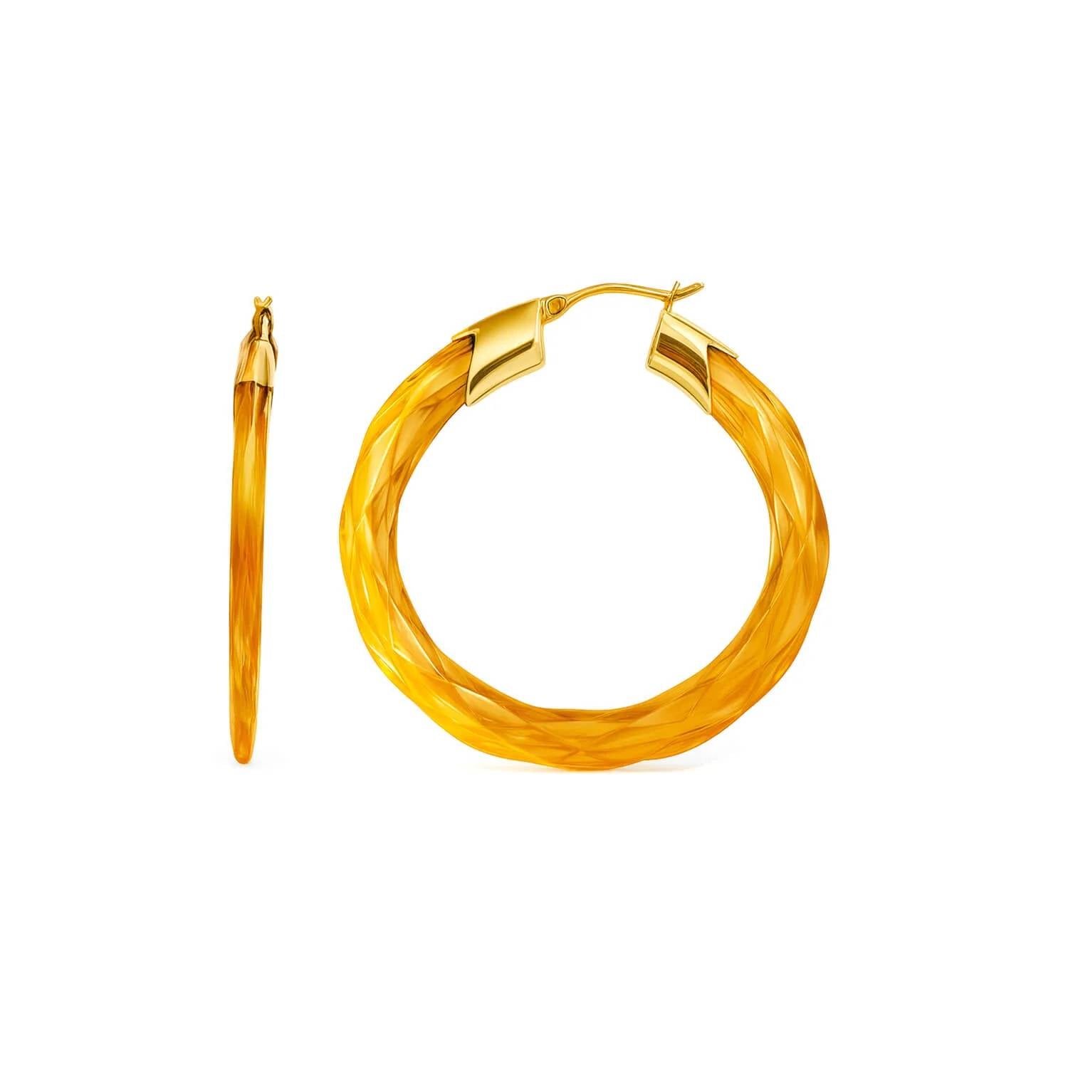 Gold & Honey - Women's Swirl Twist Lucite Birthstone Hoop Earrings