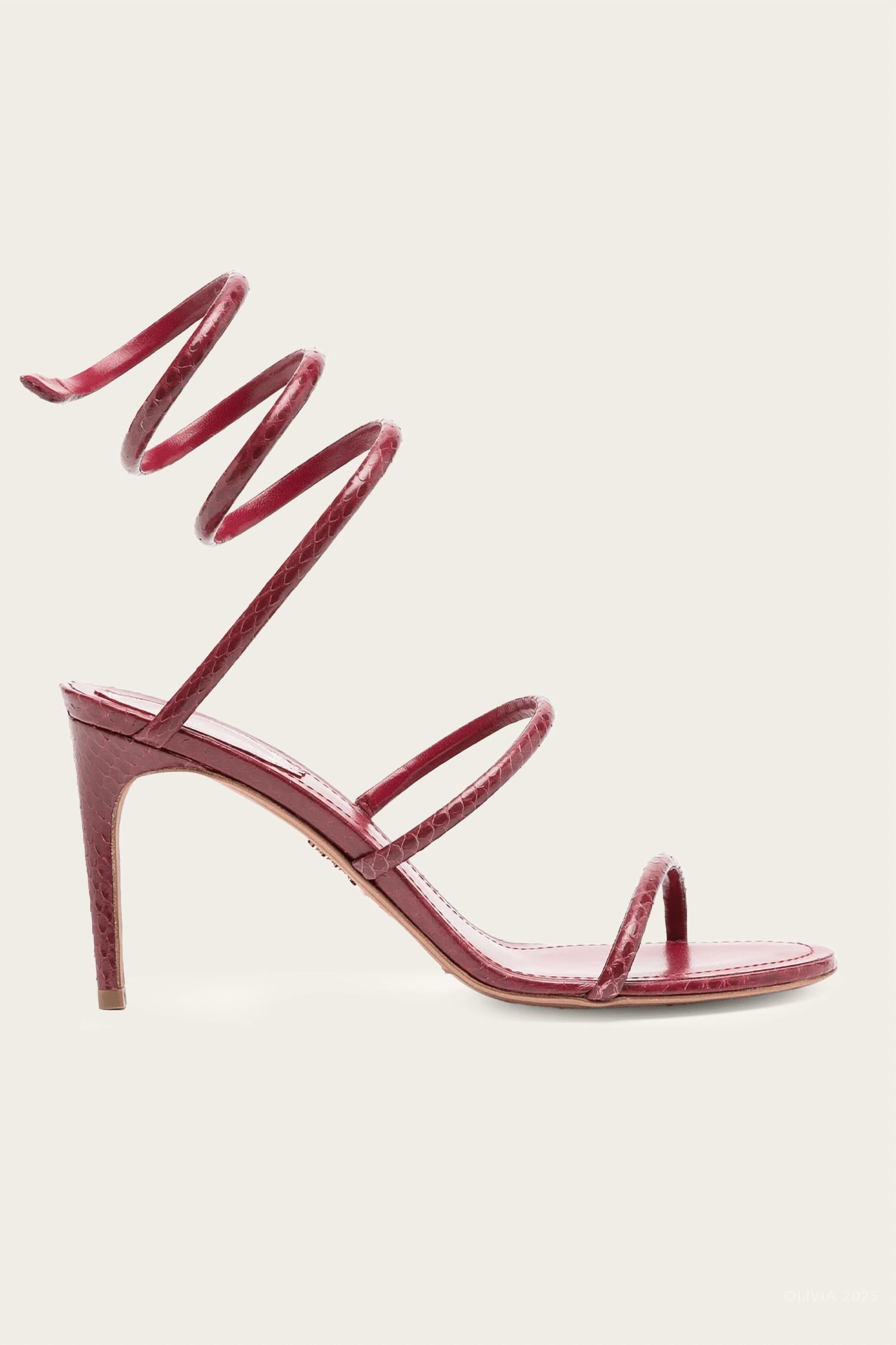Rene Caovilla - Women's Cleo Ayers Leather Sandals